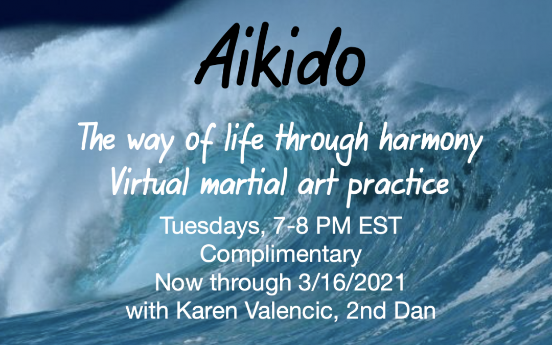 Virtual Aikido Class